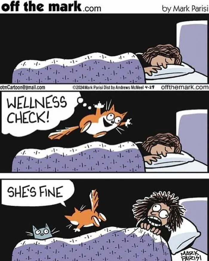 This Artist Sums Up Life With A Cat In His 40 Funny Cartoons