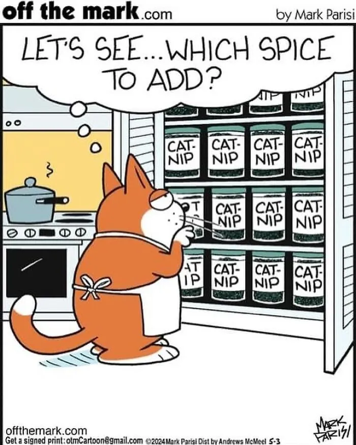 This Artist Sums Up Life With A Cat In His 40 Funny Cartoons