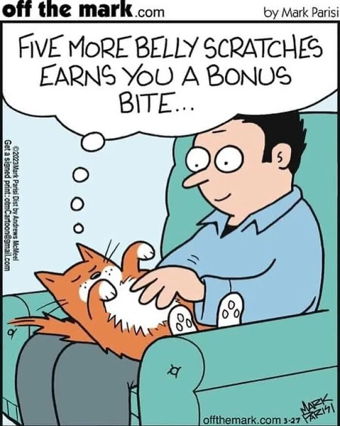This Artist Sums Up Life With A Cat In His 40 Funny Cartoons