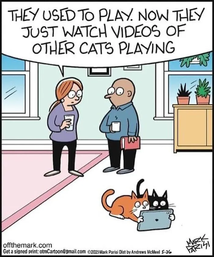 This Artist Sums Up Life With A Cat In His 40 Funny Cartoons