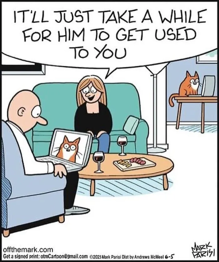 This Artist Sums Up Life With A Cat In His 40 Funny Cartoons