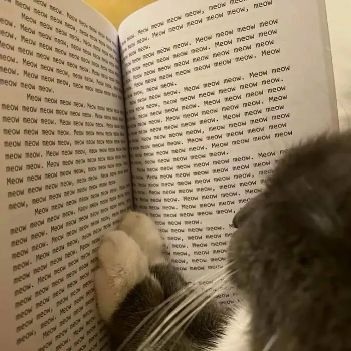 Cat reading a book filled with the word "meow," adding a humorous touch.