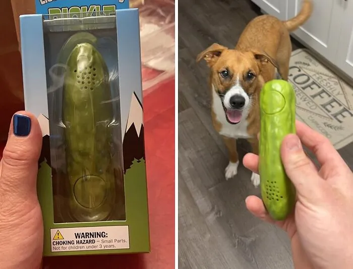 A <a Style="Display:inline;" Href="Https://Www.amazon.com/Accoutrements-11761-Yodelling-Pickle/Dp/B0010vs078?ie=utf8&linkcode=ll1&tag=bpdove-20&linkid=954f99cc0072bfe5d8a66d4ae97bb1ec&language=en_us&ref_=as_li_ss_tl" Target="_blank"><span Style="Font:inherit;color:#d74b1f;"> Yodeling Pickle </Span> Will Never Sour The Mood