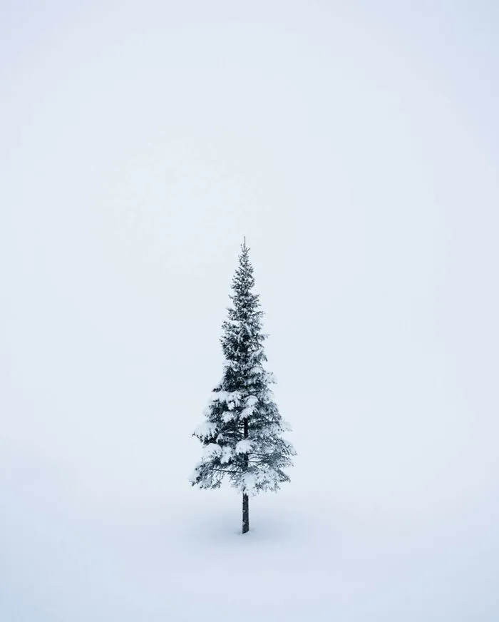 Photographer Continues To Capture Beautiful, Almost Magical Landscapes (43 New Pics)