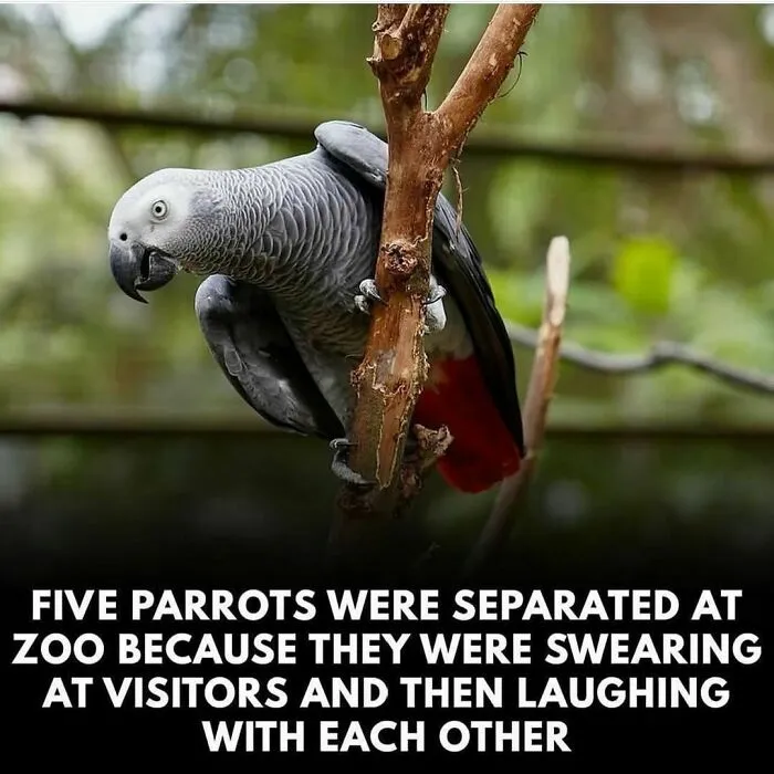 50 Funny And Awkward Animal Posts That Might Make Your Day Much Better