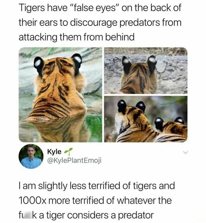 50 Funny And Awkward Animal Posts That Might Make Your Day Much Better