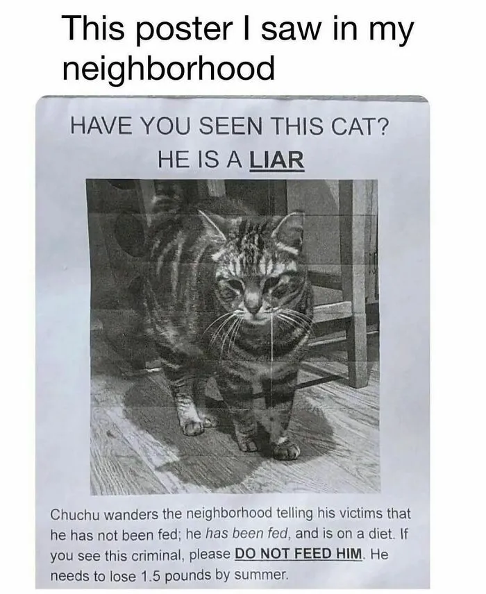 50 Funny And Awkward Animal Posts That Might Make Your Day Much Better