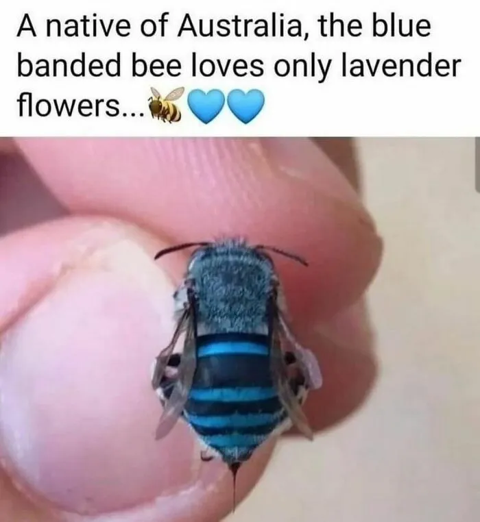 50 Funny And Awkward Animal Posts That Might Make Your Day Much Better
