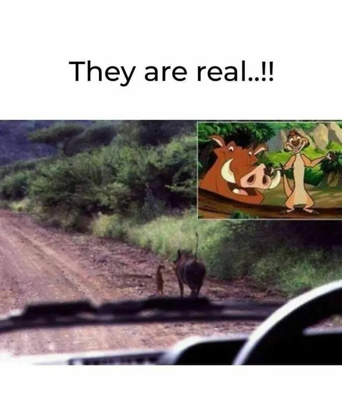 50 Funny And Awkward Animal Posts That Might Make Your Day Much Better