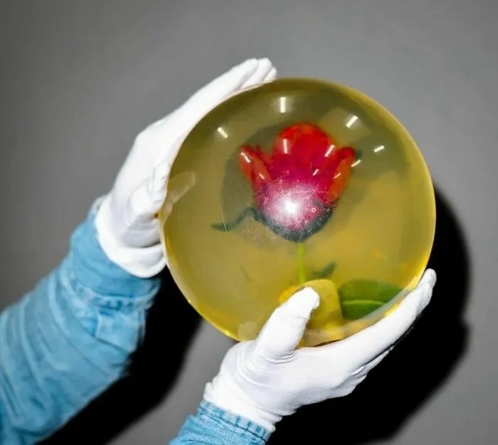 Bill Murray’s Translucent Rose Bowling Ball From The Movie Kingpin (1996) Recently Sold For $350,000 At The Planet Hollywood Auction