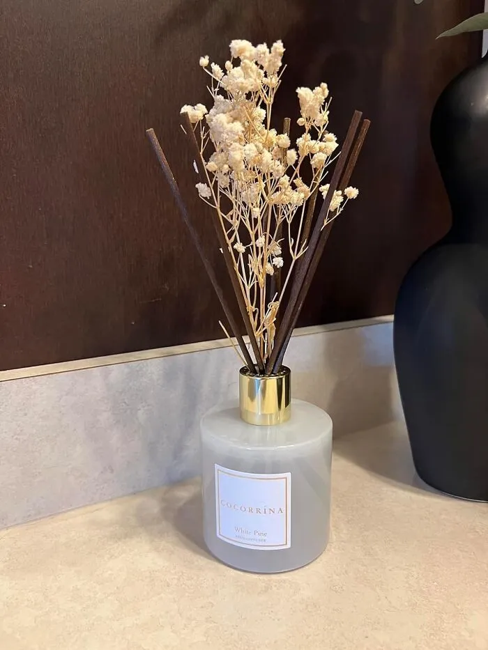 A <span Style="Font:inherit;color:#d74b1f;"> Cocorrína Reed Diffuser Set </Span> Is Chic And Classy, Just Like Your Mom!