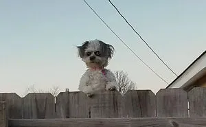 50 Pics Of Animals Being Their Hilarious Selves To Make Your Day