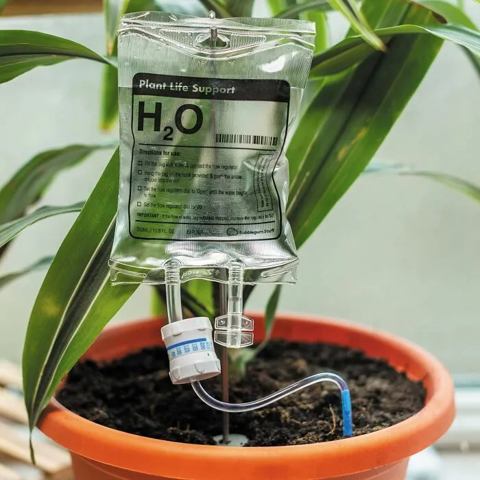 This <span Style="Font:inherit;color:#d74b1f;"> Automatic Watering System For House Plant </Span> Is For Everyone Who Keeps Sending Their Plants To The ER