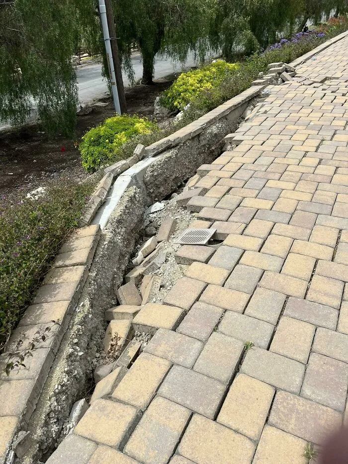 30 Times Building Inspectors Uncovered Horrifying Things While On The Job (New Pics)