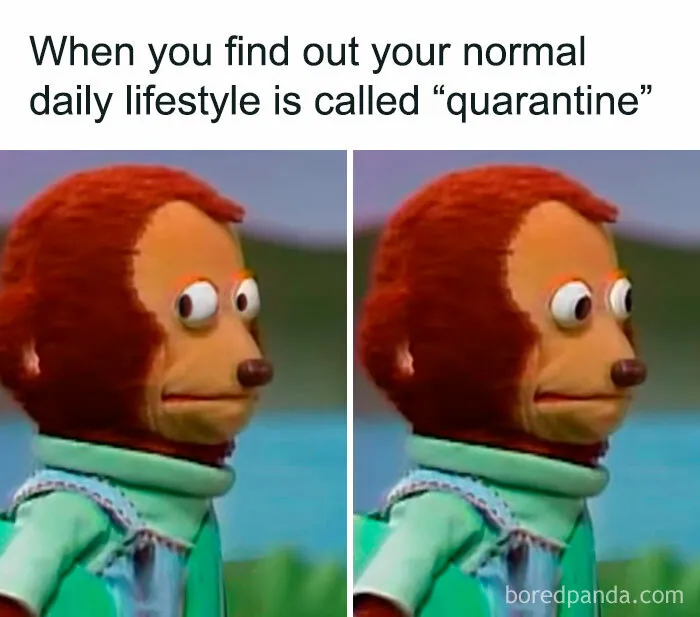 50 Memes To Send To Those Who Don't Really Like Other People