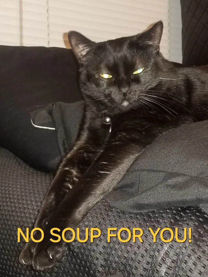 The Soup Nazi