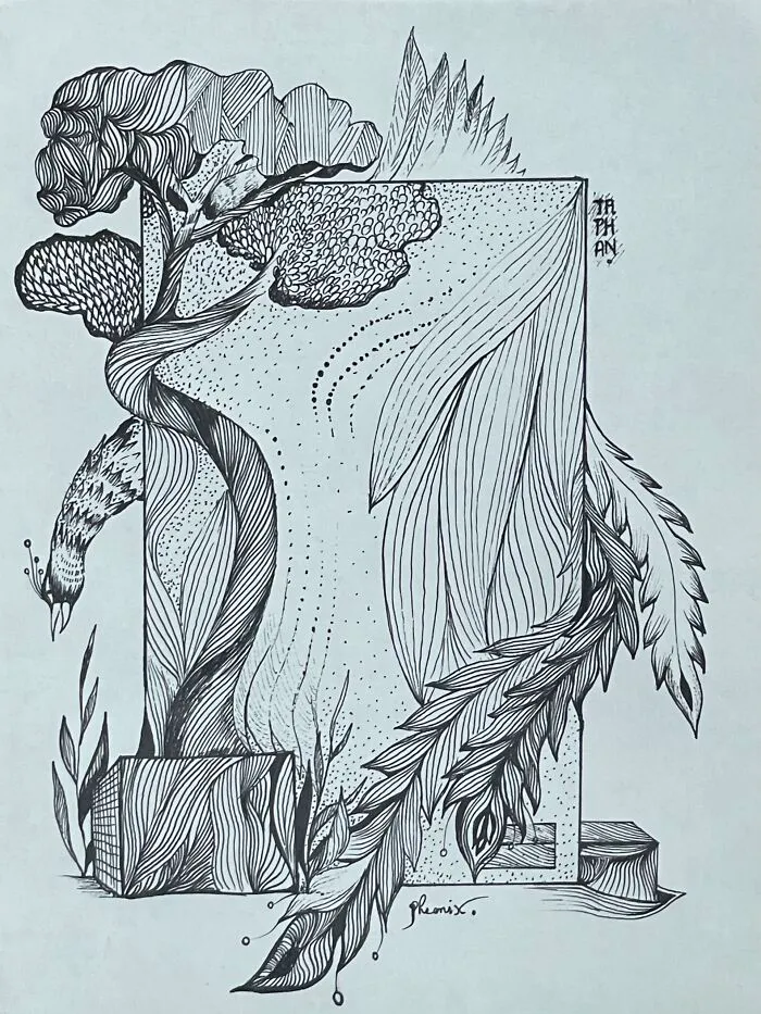 A Shy Phoenix