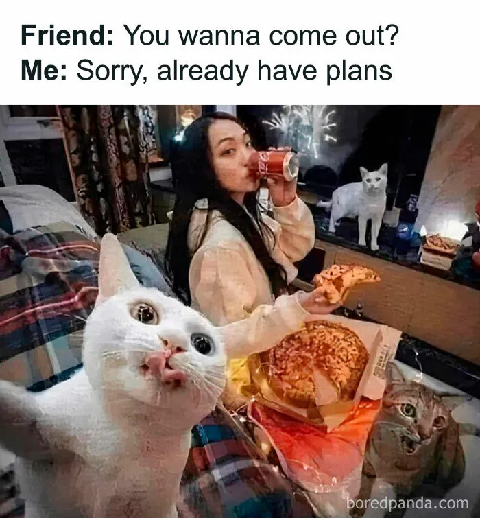 50 Funny Memes From This IG Page To Scroll Through Instead Of Doing Literally Anything Else