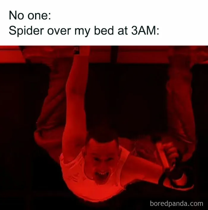 30 Memes And Jokes To Celebrate The Eurovision Song Contest Of 2024
