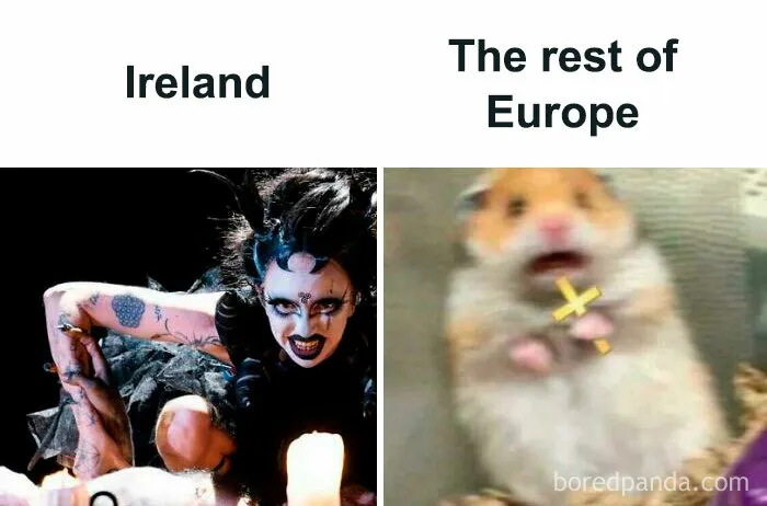 30 Memes And Jokes To Celebrate The Eurovision Song Contest Of 2024