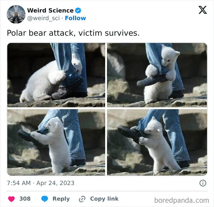 50 Weird Science Posts That Have Been Scientifically Proven To Be Interesting