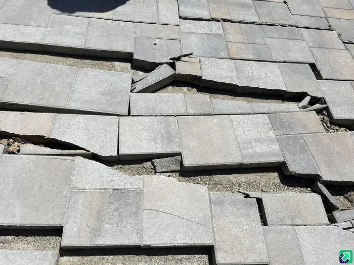 30 Times Building Inspectors Uncovered Horrifying Things While On The Job (New Pics)