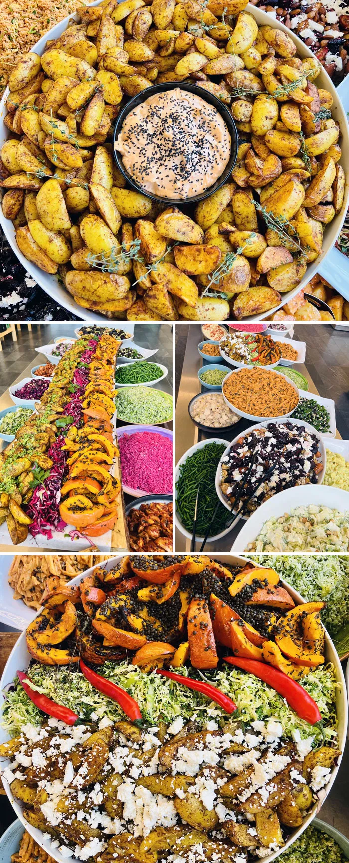 The University Lunch At Copenhagen University. 1.21€ Per 100 Gram