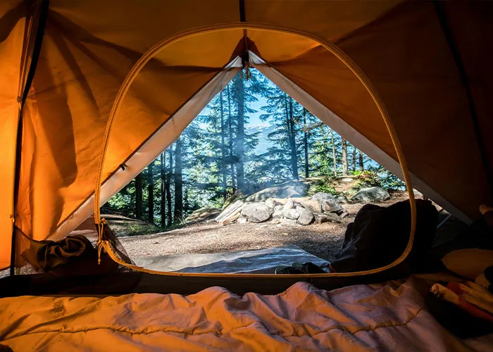 "They Had No Plans To Stop": 30 People Share The Wildest Secrets They Were Ever Told