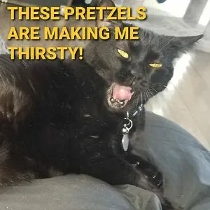 boobiekatz22