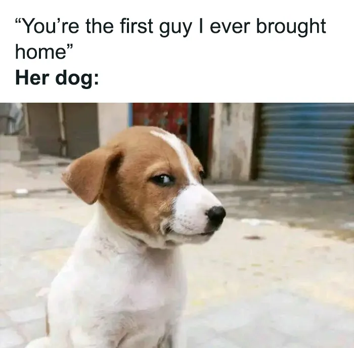 This FB Group Is Home To Hilarious Relationship Memes, And Here Are 50 Of The Best