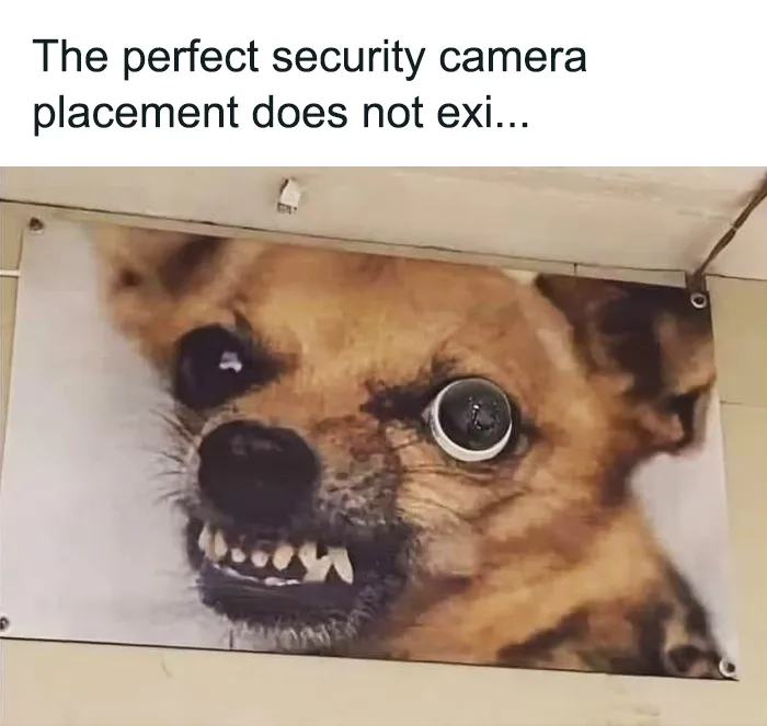45 Hilarious IT Memes That Won’t Make You Try Turning It On And Off Again (New Pics)