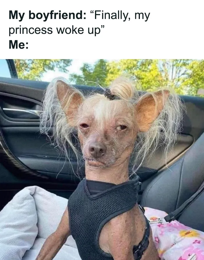 This FB Group Is Home To Hilarious Relationship Memes, And Here Are 50 Of The Best