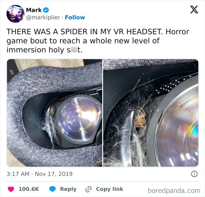 A Spider In My VR Helmet
