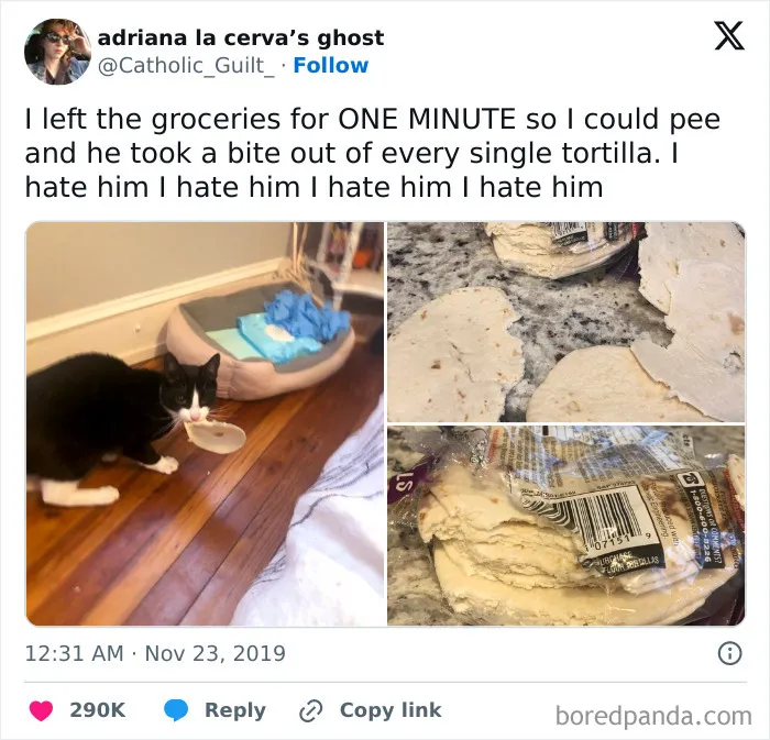Tortilla Devil