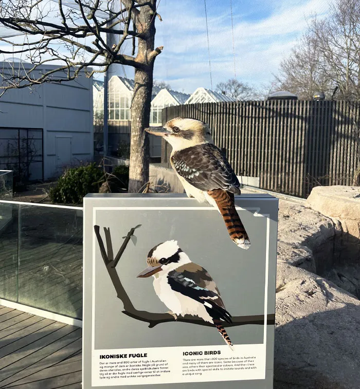 Bird Sitting On Its Own Info Board