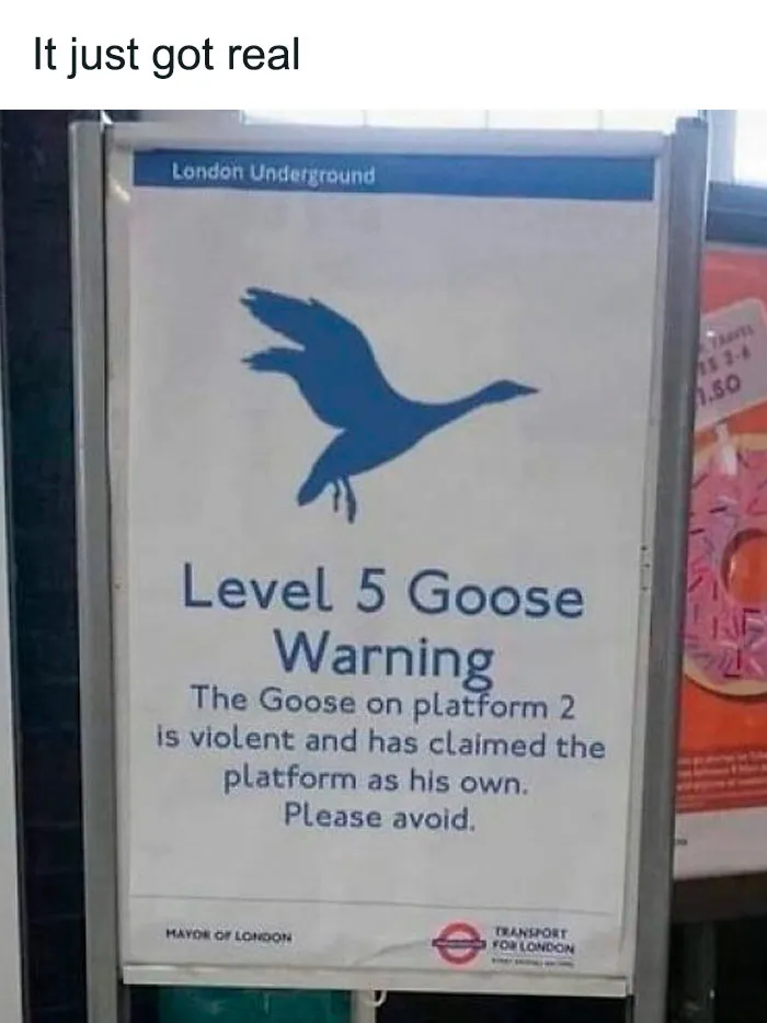 “Signs That Make You Just A Little Unsettled”: 50 Times People Felt Threatened By A Weird Sign