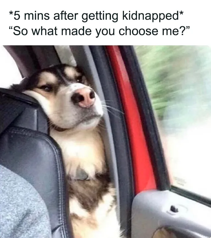 50 Hilariously Relatable Memes From “Just Nihilist Things”