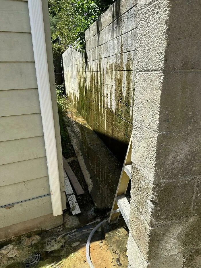 30 Times Building Inspectors Uncovered Horrifying Things While On The Job (New Pics)