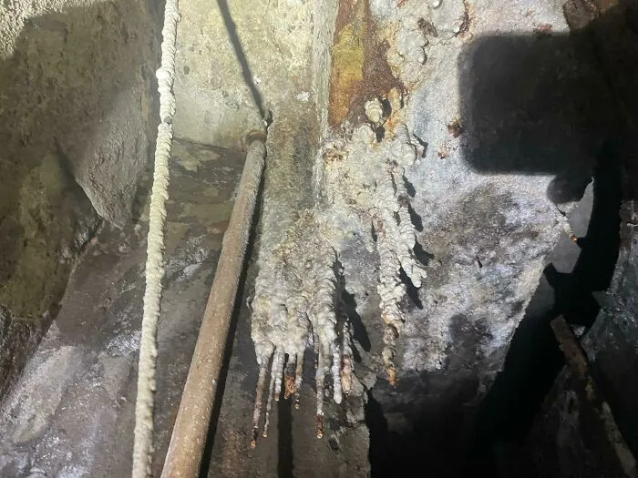 30 Times Building Inspectors Uncovered Horrifying Things While On The Job (New Pics)