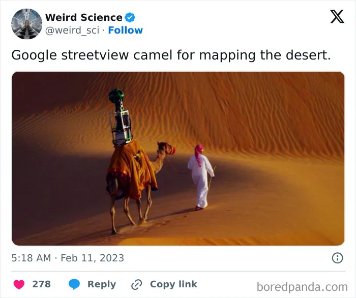 50 Weird Science Posts That Have Been Scientifically Proven To Be Interesting