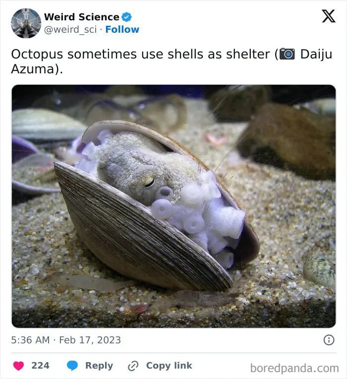 50 Weird Science Posts That Have Been Scientifically Proven To Be Interesting