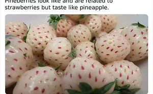 50 Weird Science Posts That Have Been Scientifically Proven To Be Interesting