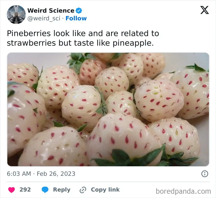 50 Weird Science Posts That Have Been Scientifically Proven To Be Interesting