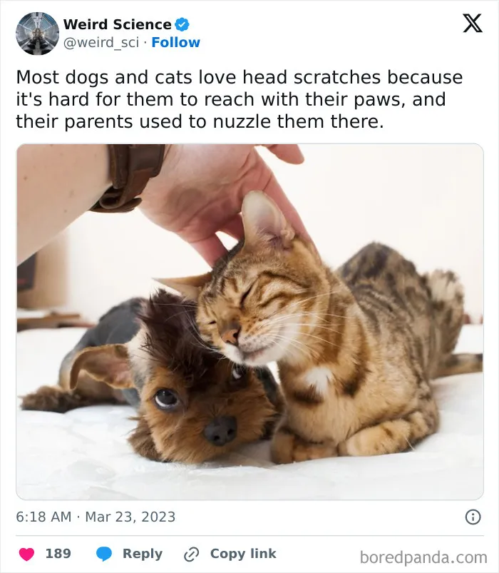 50 Weird Science Posts That Have Been Scientifically Proven To Be Interesting
