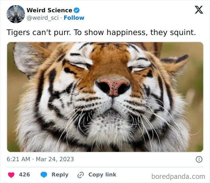 50 Weird Science Posts That Have Been Scientifically Proven To Be Interesting