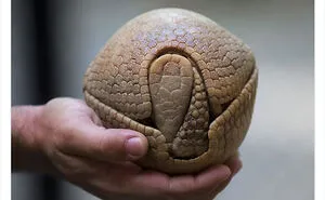 50 Weird Science Posts That Have Been Scientifically Proven To Be Interesting
