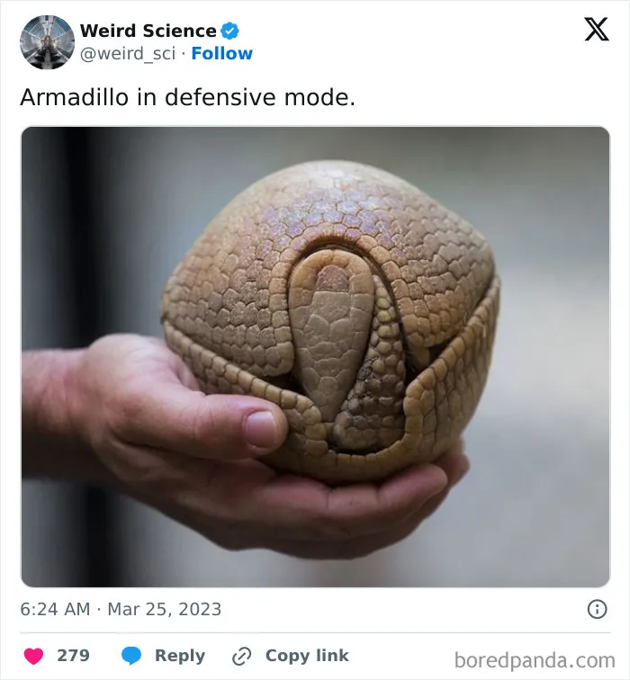 50 Weird Science Posts That Have Been Scientifically Proven To Be Interesting