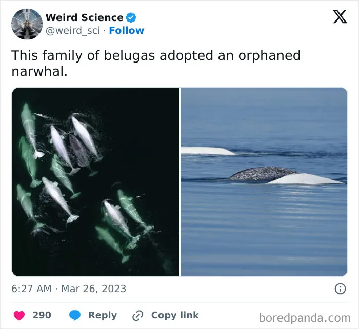 50 Weird Science Posts That Have Been Scientifically Proven To Be Interesting