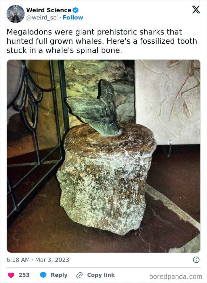 50 Weird Science Posts That Have Been Scientifically Proven To Be Interesting