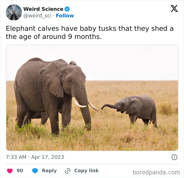 50 Weird Science Posts That Have Been Scientifically Proven To Be Interesting